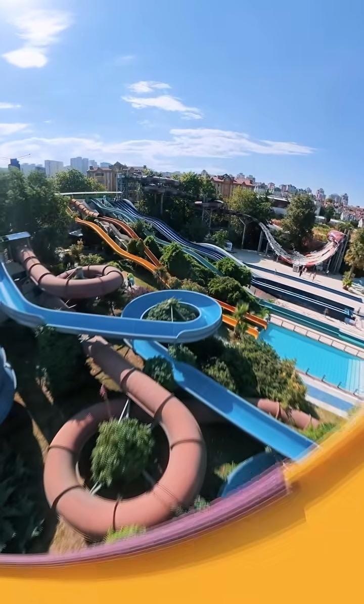پارک آبی آکوئا دلفین